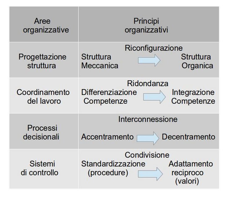 Auto-Organizzazione