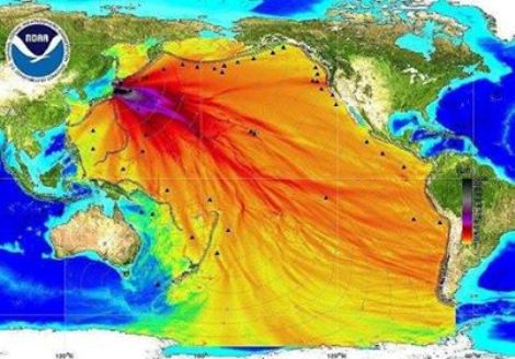 L'Oceano Pacifico dopo Fukushima